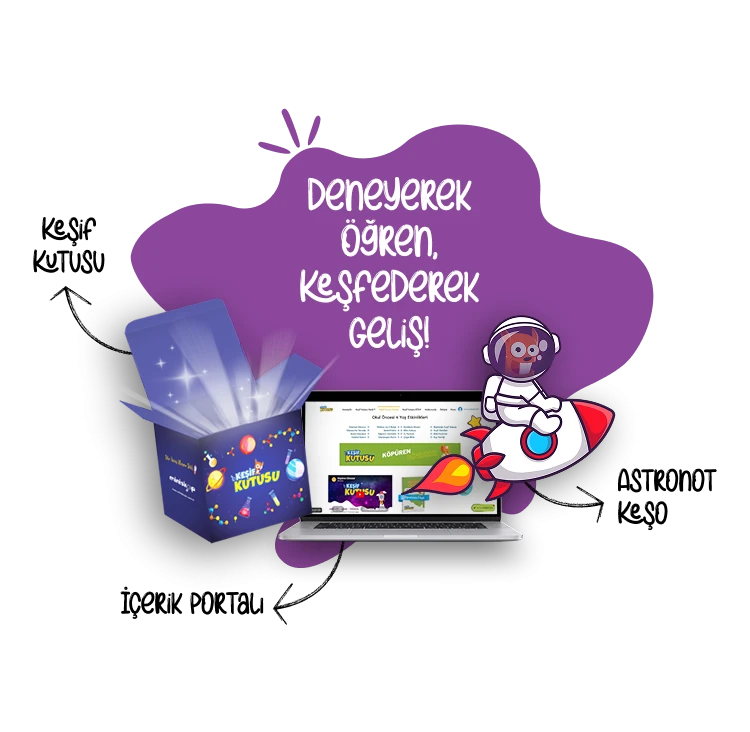 Mobil Keşif Kutusu